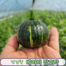 더일구다