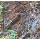 성당포구마을 이미지