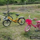 고성섬나들이 이미지