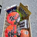 몽돌펜션 | 거제숙소 가성비 펜션 몽돌해수욕장 근처 단체 숙박 후기 식풍재풀빌라