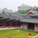 99 | 경희궁 경희궁의아침 5대 고궁 도심에서 즐기는 힐링 시간여행