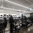 고릴라 짐 이미지