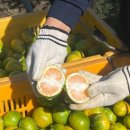 한라앤탐 이미지