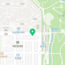 요미독강아지분양요미캣고양이분양남양주점