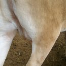 경호목장 이미지