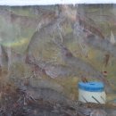 백사장항(대하) 이미지