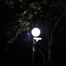 소문난오리 이미지