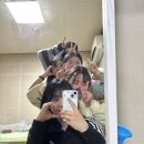 김제신집
