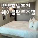 생활형숙박 | 호텔웨이블런트 양양 생활형숙박업소 스탠다드 더블 숙박후기