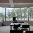 야근은 필수 이미지