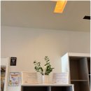 트라이 피트니스 이미지