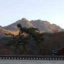 선림원 Daum카페