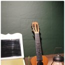 기타렐레(통기타) 이미지