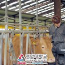 동실농장 이미지