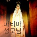 4월25일(표선성당~남원성당~효돈성당~서귀복자성당) 이미지