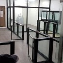 테라스애견미용카페 Daum카페