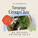 울산경의고등학교 | 양산공방] 블루밍앤브러쉬 울산 경의고등학교 단체 테라리움 원데이 클래스 후기 | 학생들의 창의력을...