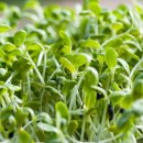 하나농자재 이미지