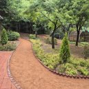 용인한빛중학교 이미지