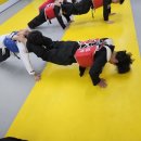 배곧 청록태권도장 이미지