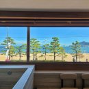 파라스테이 이미지