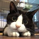 연빈화실 이미지