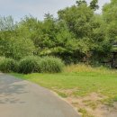 일자산 자연공원 이미지