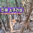 명동 선착장 | 창원 진해 소쿠리섬 배시간 사슴 무인도 노지 캠핑 명동선착장 주차
