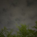 [05/16~05/21일상]
