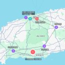 ㈜더쎄븐렌트카 | 제주 | 롯데 시티호텔 : 스탠다드 트윈 내돈내산 숙박 후기 (룸컨디션, 공항셔틀)