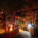 6월25일(월) 야간산행~수변공원,솔마루길 이미지