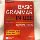 Basic Grammar in Use 영문판 (ebook 가능한 버전) 이미지