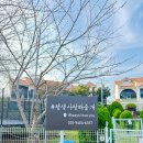 평생 사랑해 줄 개 애견펜션1 | 태안 평생사랑해줄개 안면도 애견펜션, 태안 애견동반식당