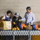 향단농장 이미지