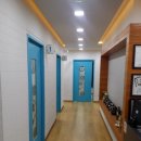 드비취이 이미지