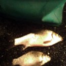 갑천주유소 이미지