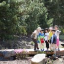 성보촌야외수영장 이미지