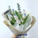 아이스퀸목포