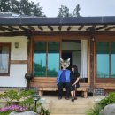 선제리의 아침 이미지