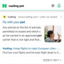 도리펫(Dori Pet) | 🐶🇪🇺강아지랑 유럽여행(2) ㅡ 장거리 비행, 여행편(+꿀팁, 총 비용)