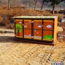 소태초교 병설유치원 이미지