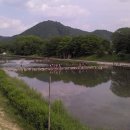 영산강식당 이미지