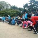 경주버섯 이미지