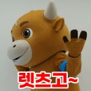이글 스크린(실내-스크린) 이미지