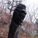 주장군 Daum카페