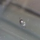 봉동자동차유리 이미지