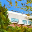 국제사이버대 앞 이미지