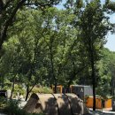 삼천포유치원 | <캠프그라운드 화온> 시원한 여름이 있는 곳 🌳