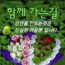 마늘 효능 이미지