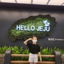 장풍쏘는 돼지 | 2022 여름제주